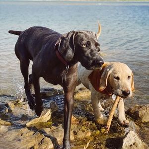 Meet your Posher, Kambrie